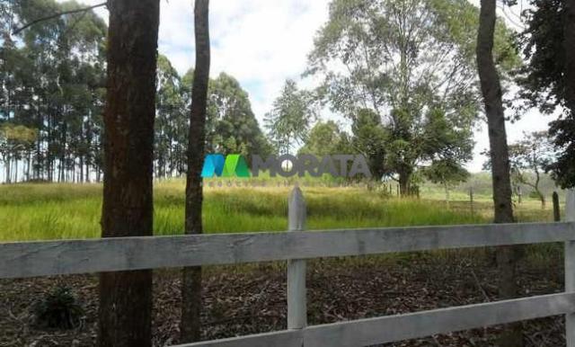 Fazenda pecuária - 220 hectares - belo vale (mg) - Foto 7