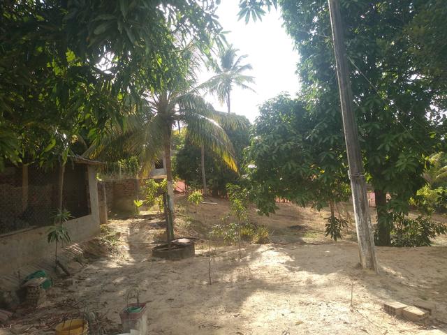 Vendo um sitio - Foto 4