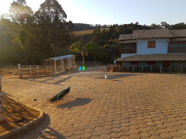 Fazenda / haras / pecuária leiteira - 20 hectares - piedade dos gerais (mg) - Foto 5
