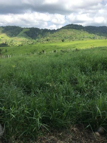 Vendo fazenda (Itamaraju BA)