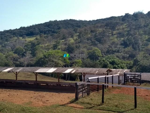 FAZENDA À VENDA - 187 HECTARES - ONÇA DO PITANGUI (MG) - Foto 13