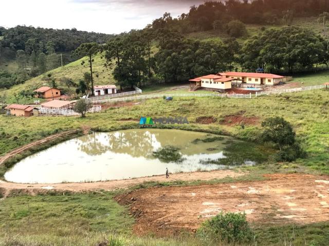 Fazenda à venda - 40 hectares - região santana dos montes (mg) - Foto 13