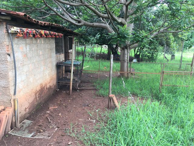 Chácara em Bela Vista de Goiás com casa - Foto 7