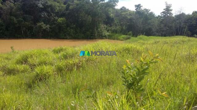 Fazenda à venda - 163 hectares - paraopeba (mg) - Foto 14