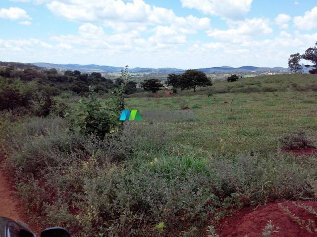 FAZENDA - 122,80 hectares - PEQUI (MG) - Foto 18