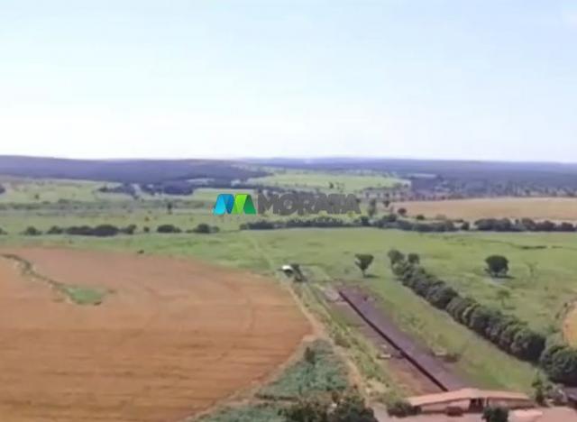 FAZENDA À VENDA – 300 HECTARES – REGIÃO DE PARÁ DE MINAS (MG) - Foto 2