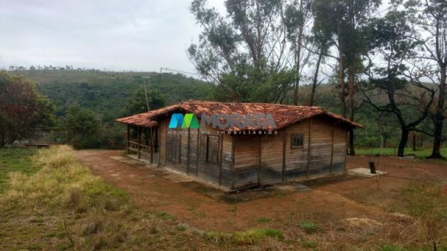 Fazenda à venda - 163 hectares - paraopeba (mg) - Foto 6