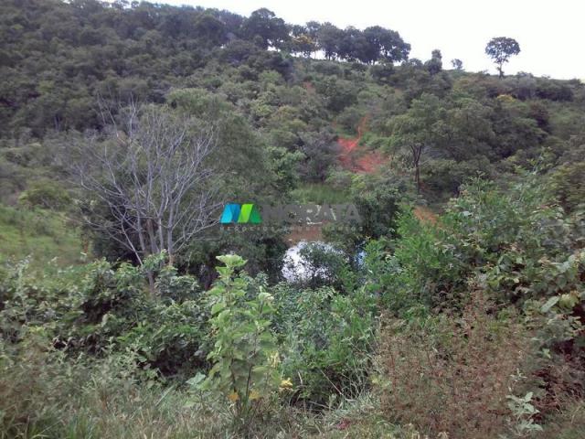 FAZENDA - 122,80 hectares - PEQUI (MG) - Foto 19