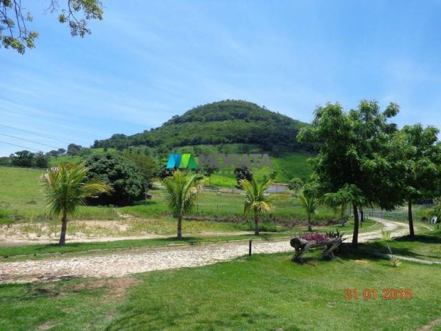 Fazenda haras – 990 hectares - sete lagoas (mg) - Foto 4