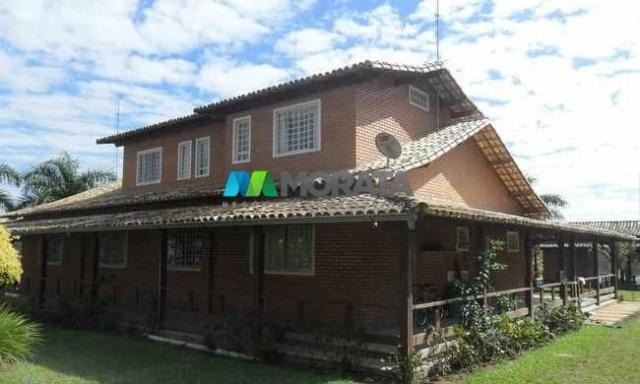 Fazenda pecuária - 220 hectares - belo vale (mg) - Foto 2