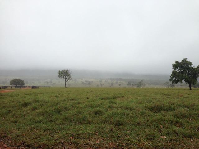 Fazenda - 1100 Hectares - Cáceres/MT - Foto 6