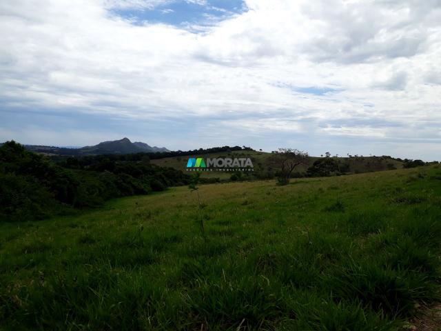 Fazenda à venda - 90 hectares - lavras (mg) - Foto 5