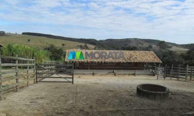 Fazenda pecuária - 220 hectares - belo vale (mg) - Foto 13
