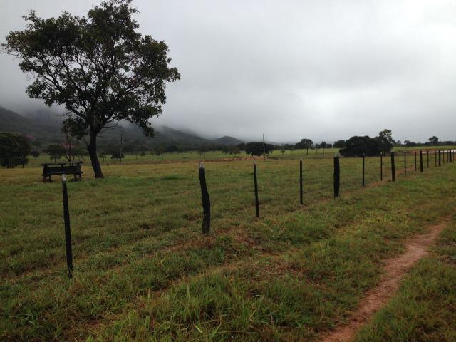 Fazenda - 1100 Hectares - Cáceres/MT