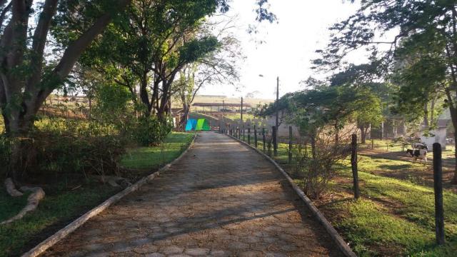 FAZENDA A VENDA - 447,50 hectares - REGIÃO PEQUI (MG) - Foto 12