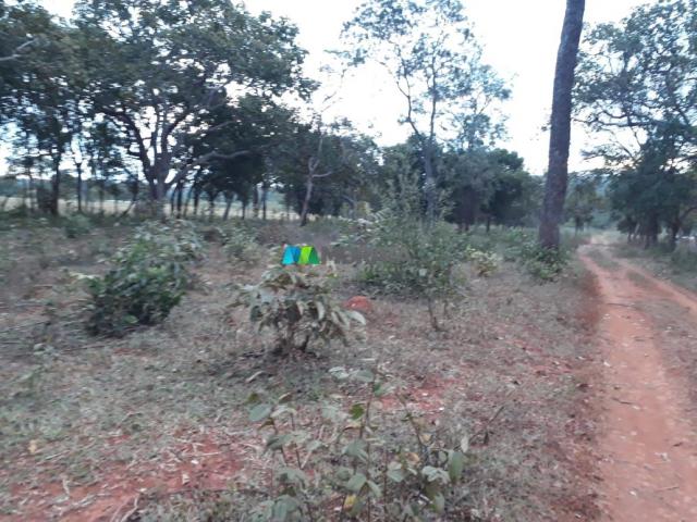 Fazendinha - 08 hectares - paraopeba (mg) - Foto 11