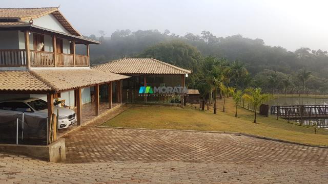 Fazenda / haras / pecuária leiteira - 20 hectares - piedade dos gerais (mg) - Foto 3