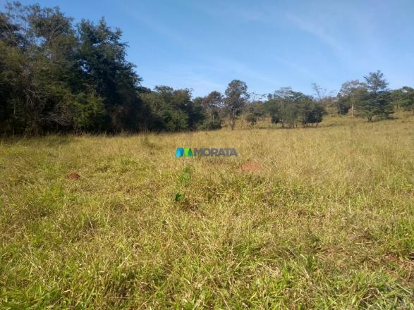 FAZENDA À VENDA - 187 HECTARES - ONÇA DO PITANGUI (MG) - Foto 17