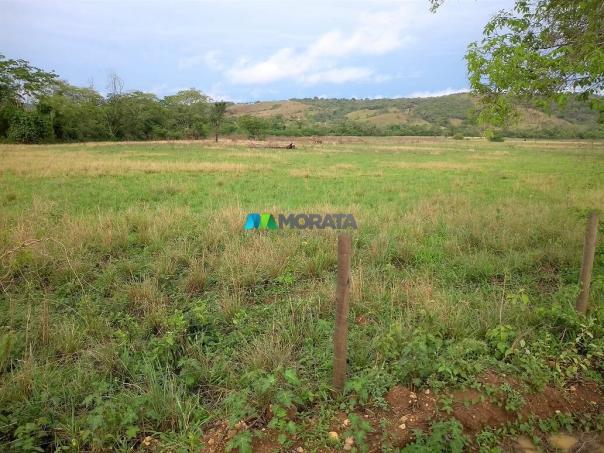 FAZENDA À VENDA - 55 HECTARES - REGIÃO DE PITANGUI (MG) - Foto 11