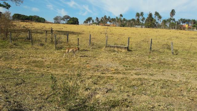 Área para construção de Condomínio no Ponta Kayana - Foto 3
