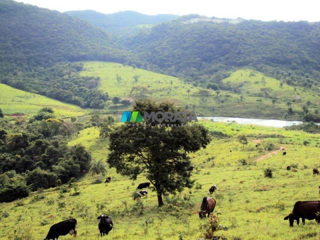 FAZENDA - 334 hectares - PARÁ DE MINAS (MG) - Foto 8