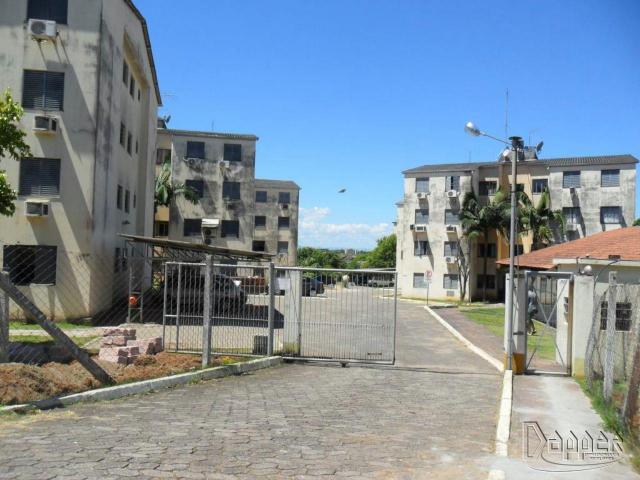 Apartamento à venda com 2 dormitórios em Rondônia, Novo hamburgo cod:17458 - Foto 4