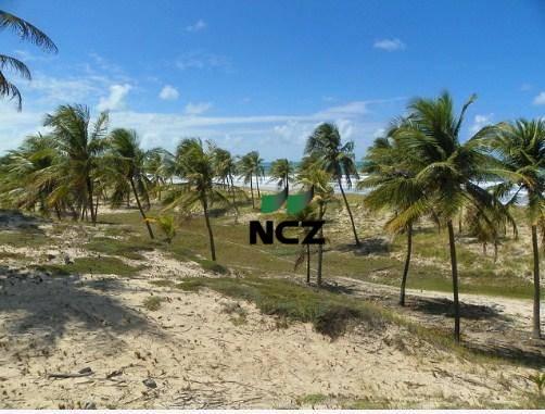 Fazenda à venda, 380000 m² por r$ 3.040.000 - litoral norte - jandaíra/ba - Foto 8