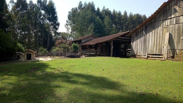 Chácara Manduri BR 373 Prudentópolis-Pr - Foto 6