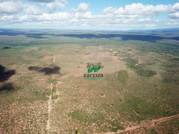 Fazenda rural à venda, chapada diamantina, andaraí. - Foto 6