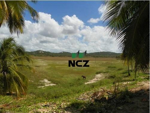 Fazenda à venda, 380000 m² por r$ 3.040.000 - litoral norte - jandaíra/ba - Foto 2