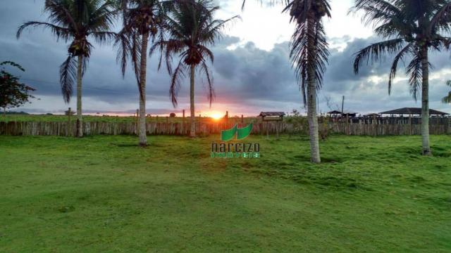 Fazenda rural à venda, caraiva, porto seguro. - Foto 4
