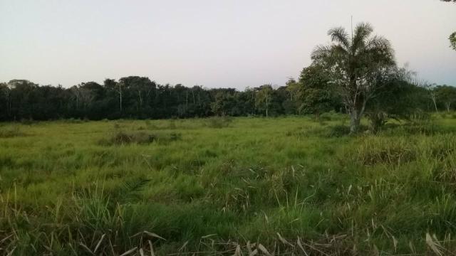 Fazenda 80 hectares próximo a Cuiabá - Foto 10