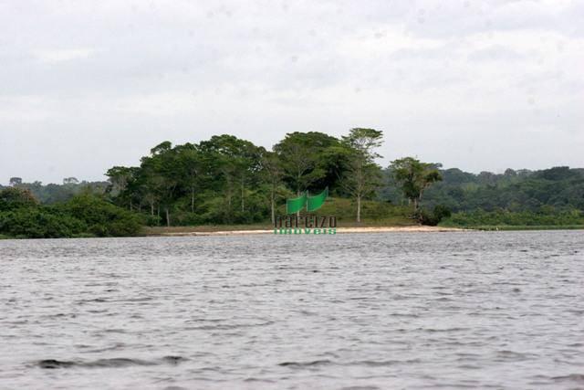 Fazenda rural à venda, são francisco, ilhéus. - Foto 10