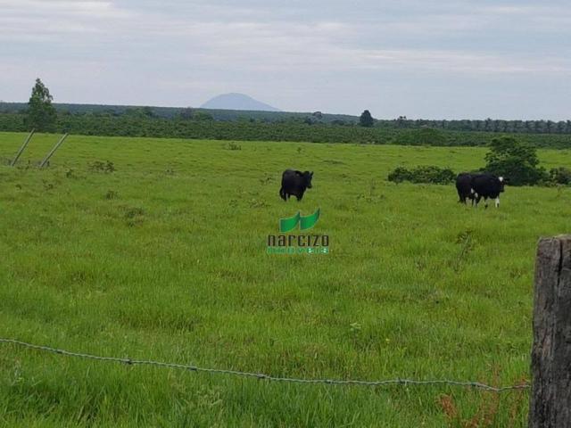Fazenda rural à venda, caraiva, porto seguro. - Foto 6