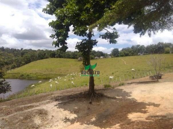 Linda fazenda à venda, 8000000 m² por r$ 6.300.000 - inocoop - itamaraju/ba - Foto 12