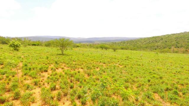 Fazenda Jaguaquara - Foto 9