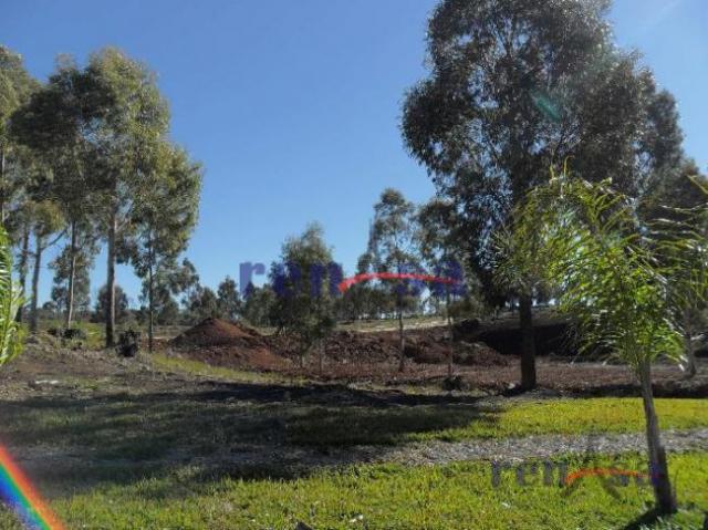 Terreno em caxias do sul - Foto 4