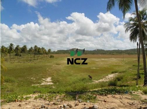 Fazenda à venda, 380000 m² por r$ 3.040.000 - litoral norte - jandaíra/ba - Foto 7