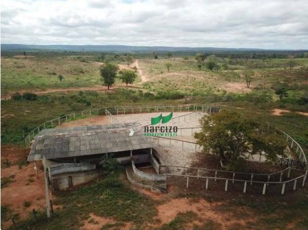 Fazenda rural à venda, chapada diamantina, andaraí. - Foto 5