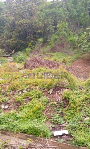 Lote Residencial em São Silvano - Foto 3
