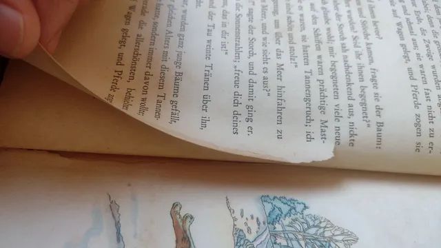 Contos de Fadas de Hans-christian Andersen(alemão) - Foto 5