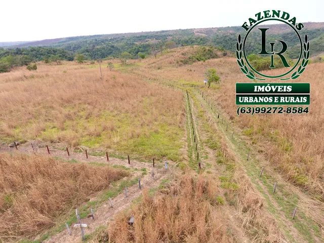 Fazenda 62 Alqueires  Oportunidade Próximo a Palmas - Foto 2