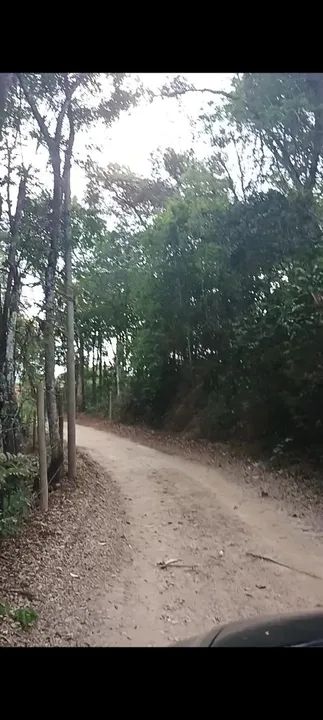 Terreno com área verde e lagoa em Bambus - Esmeraldas - Foto 5