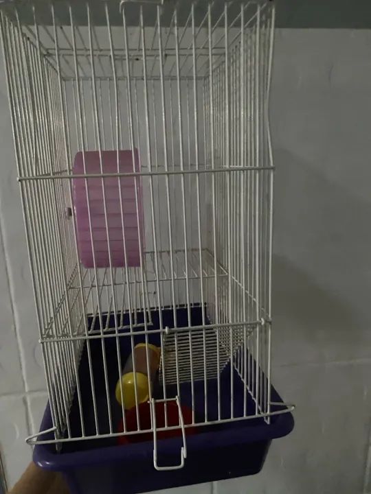 Gaiola para Roedores - Foto 3