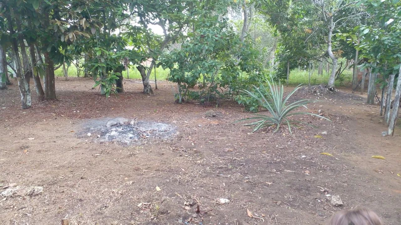 Lote com 800 m2 em Açutuba  - Foto 3