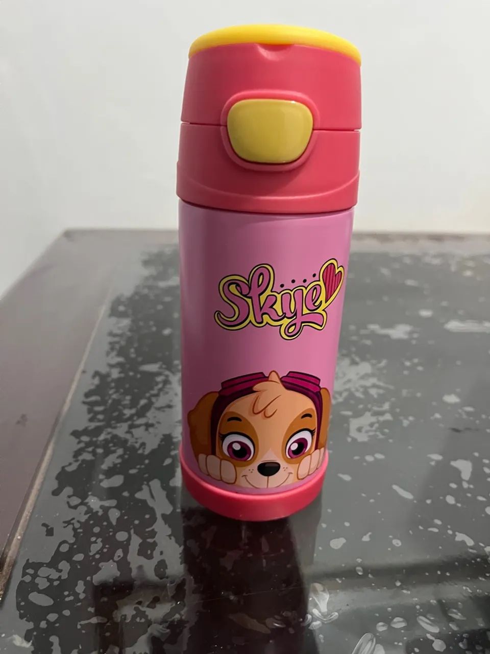 Garrafa térmica infantil Top Handle Skye - Patrulha Canina - Foto 3