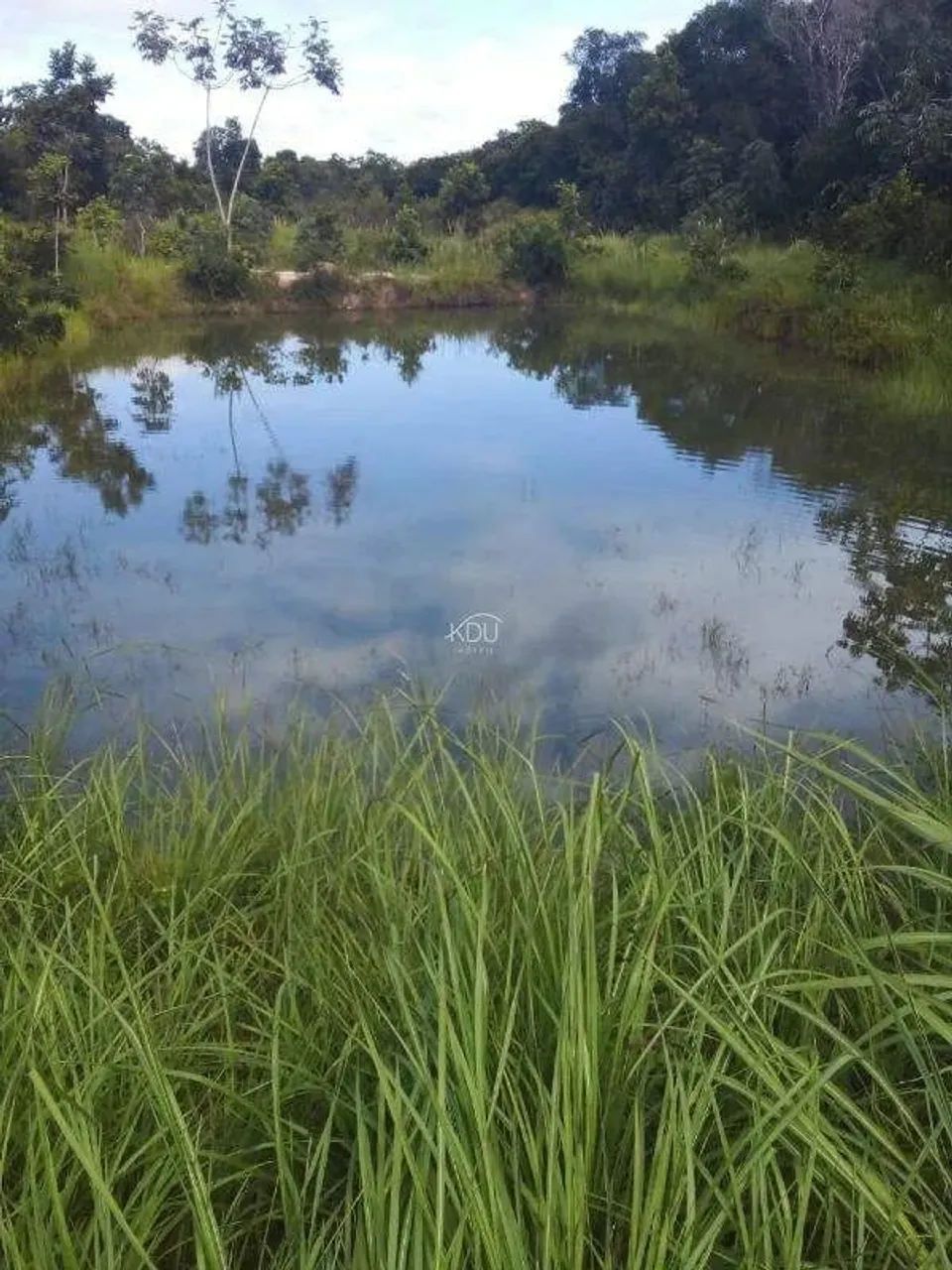 Chácara à venda Área Rural de Cuiabá Cuiabá 600.000,00