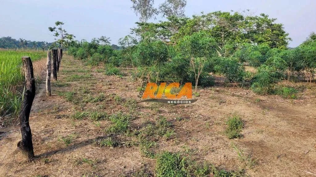 Vende-se uma Excelente Fazenda com 100 Hectares, a apenas 11 km de Porto Velho/RO - Foto 2