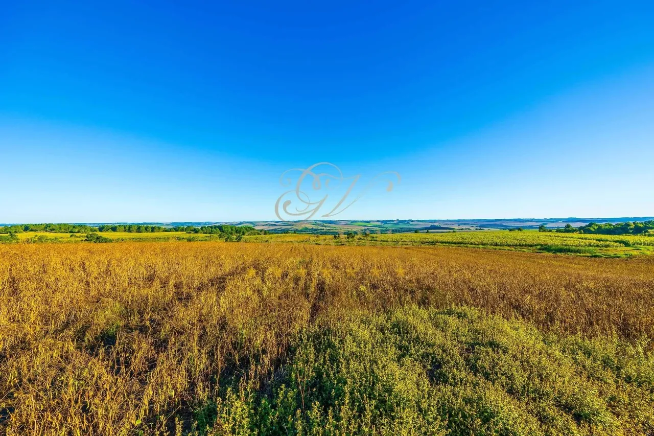 Ponta Grossa/ Vila Velha, 18,84 alqueires, 45,60 hectares, haras ou turismo rural, acesso