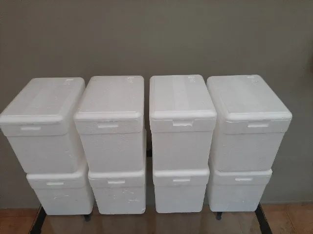 10 Caixas de ISOPOR por R$ 30,00 - Foto 3